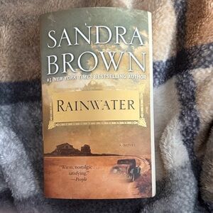 Sandra Brown 'Rainwater' Novel